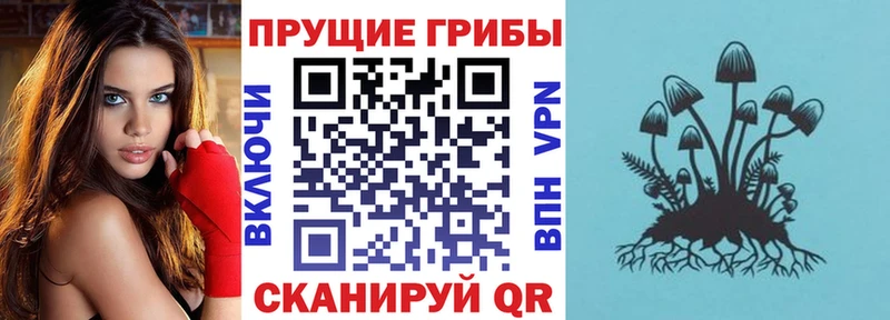 ссылка на мегу зеркало  Рубцовск  Галлюциногенные грибы MAGIC MUSHROOMS 